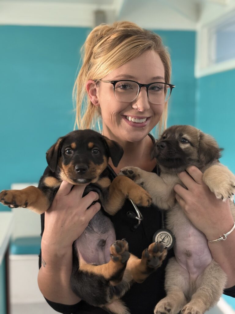 St. Croix Animal Welfare Center Completes Free Spay/Neuter Clinic, Performing 102 Surgeries