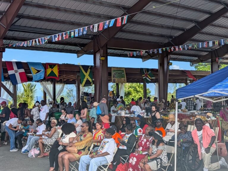 Bordeaux Vegan Agriculture Fair Brings Food, Health and Culture Together on St. Thomas