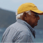 Albert-looking