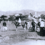 Estate prosperity cricket match