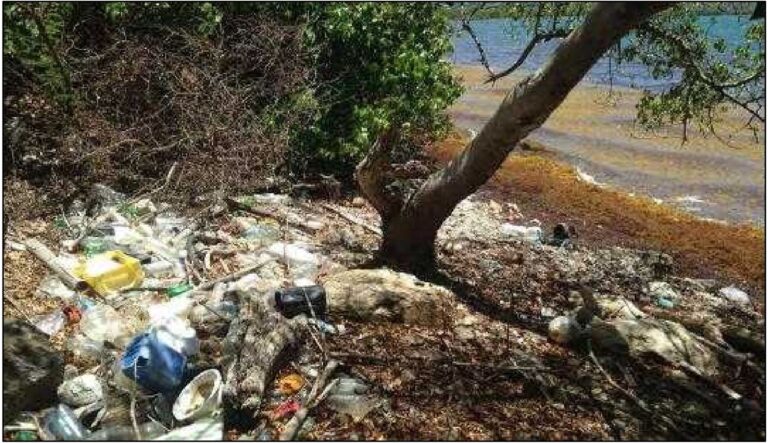 Local Courts to Hear Plastic Bottle Suit