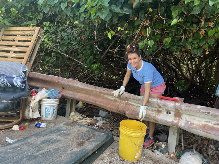 Volunteers Gather to Conduct Mangrove Preservation Efforts