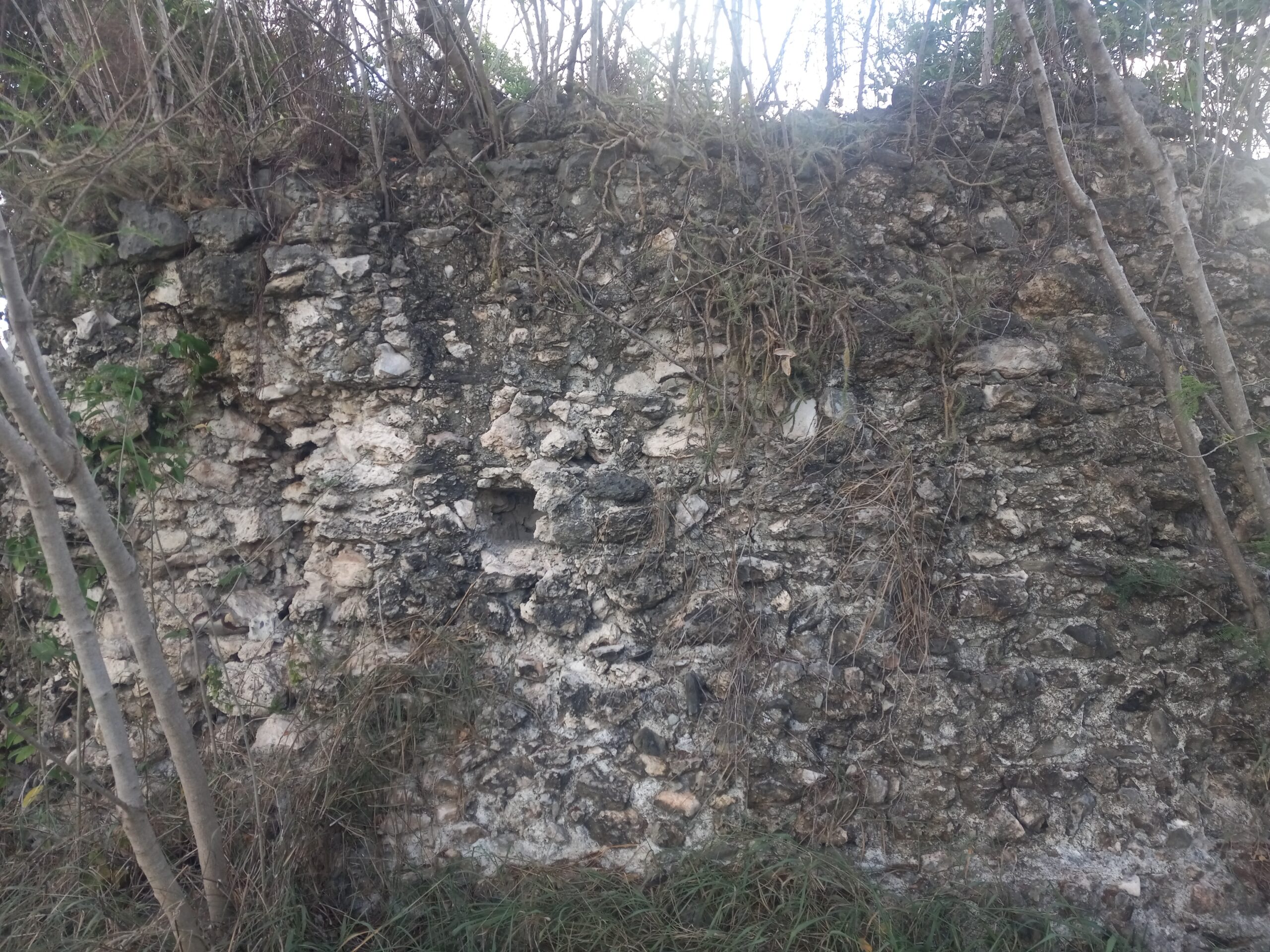 What remains of this glorious estate is a crumbing sugar mill next to what is known today as Anguilla Landfill. (Photo by Olasee Davis)