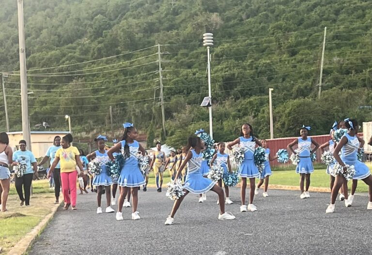 Photo Focus: Families Savor Preview of Children’s Day Parade at V.I. Carnival Hospital Show