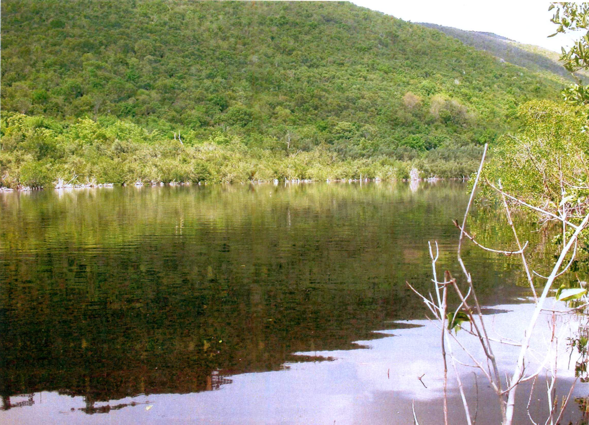 Perseverance Bay Pond should be designated as a wildlife Refuge as well as creating carefully plan hiking trails in the watershed. Photo by Toni Thomas