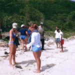 Perseverance Bay