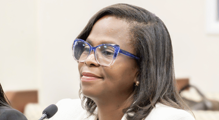 Committee Reviews $24B Disaster Recovery, Labor and Housing Capacity