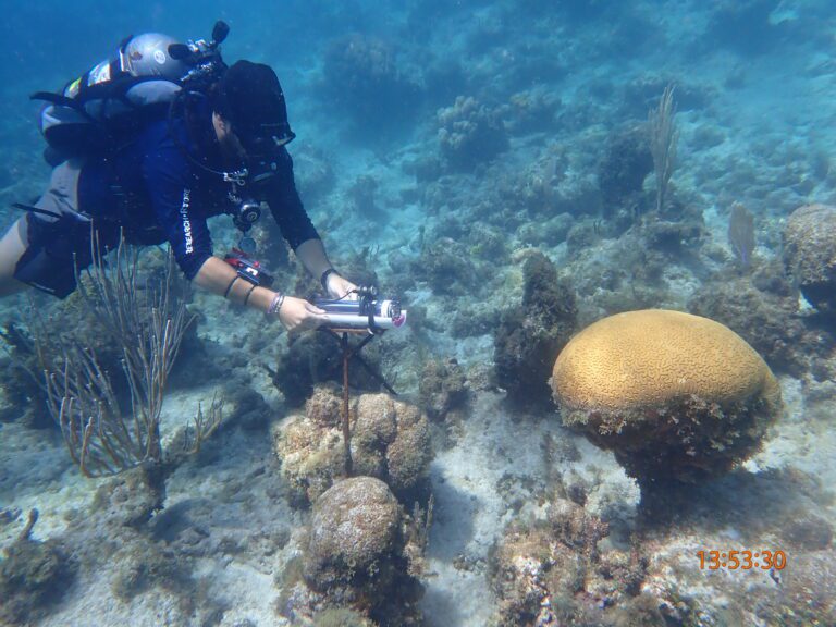Coral Rising: Land and Sea Pathways Youth Summer Program