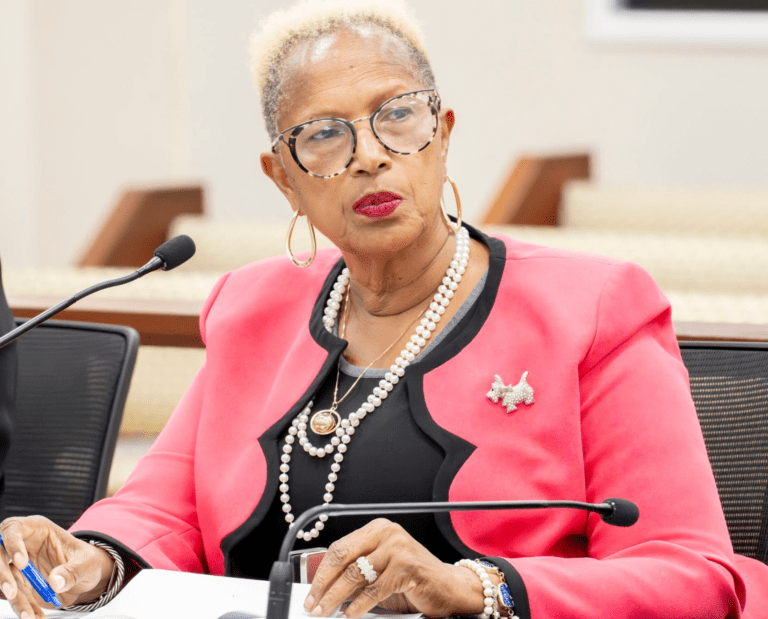 Budget Committee Reviews Frederiksted Healthcare Inc. Request Amid Growing Uninsured Care