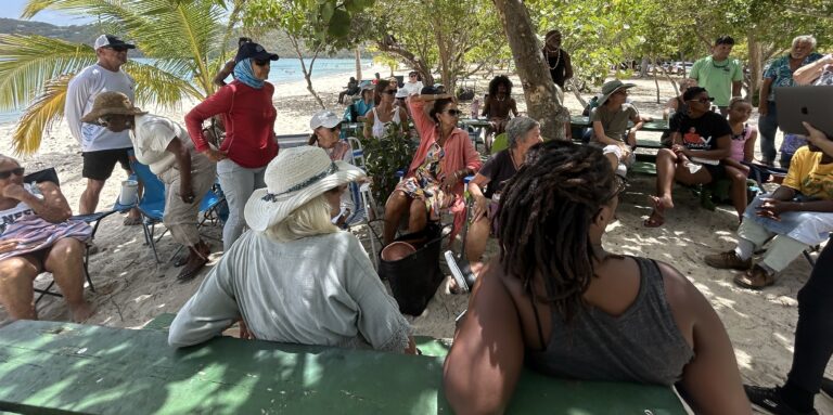 Residents attend the Friends of Fairchild at Magens Bay community meeting Saturday, under the trees at the beach. Many more attended online. (Source photo by Siân Cobb)