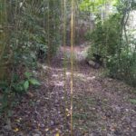Maroon park path
